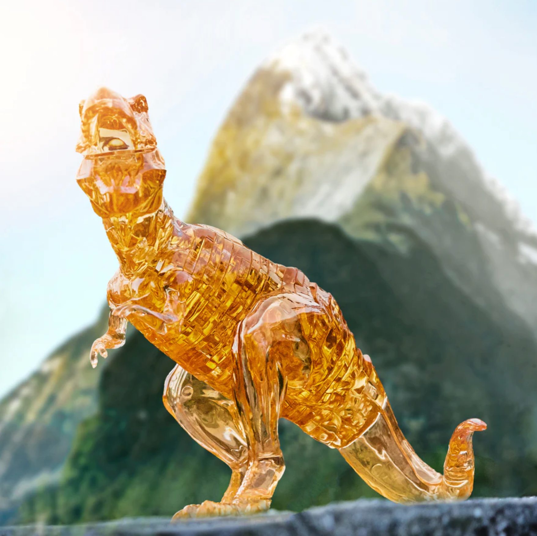 Banner image