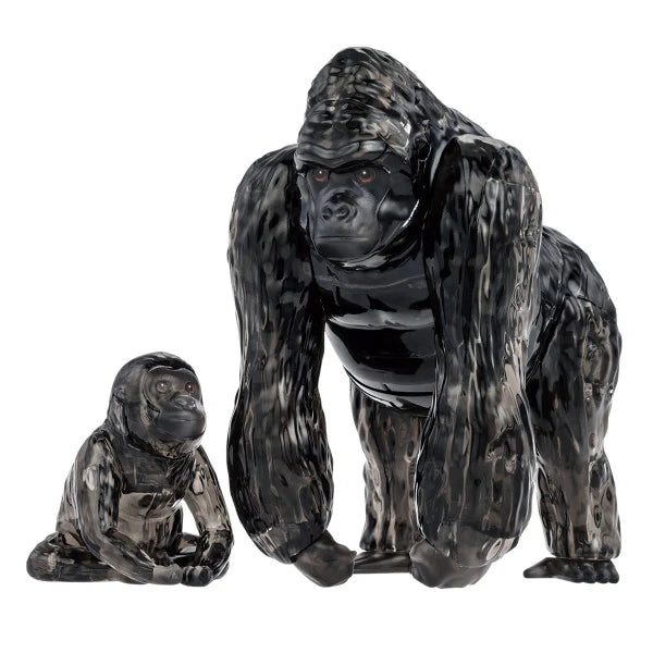 Collection image